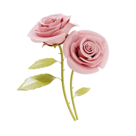 Couple of rose flower 3D Illustration