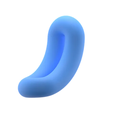 Courbure longue du tore  3D Icon