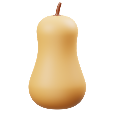 Squash  3D Icon