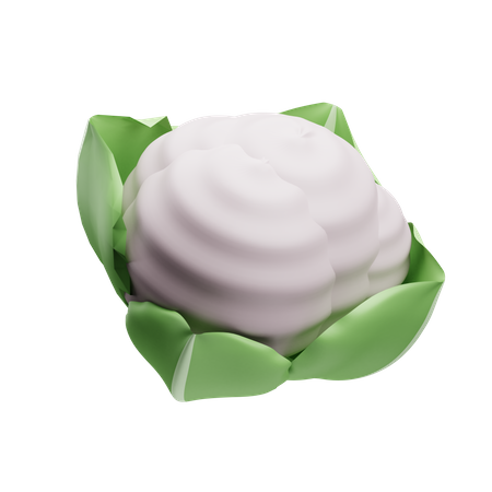 Couve-flor  3D Illustration