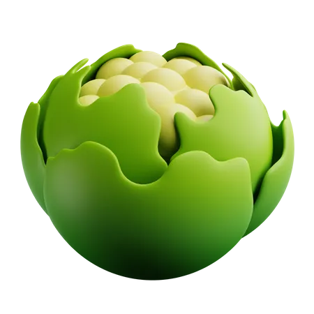 Couve-flor  3D Icon