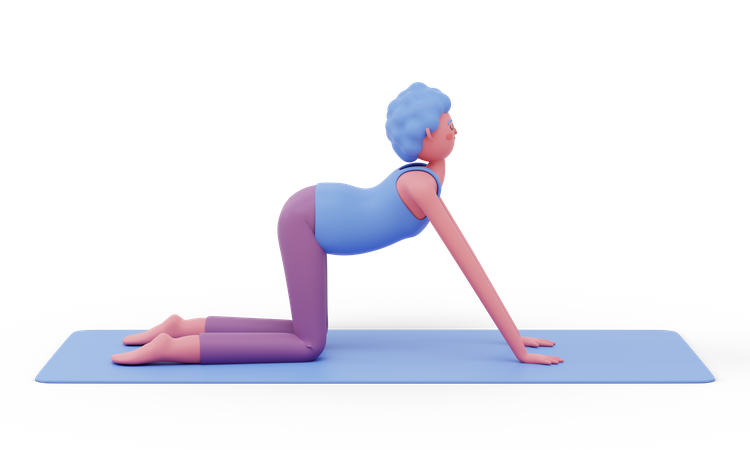 Cow Yoga Pose  3D Illustration