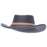 3d for cowboy hat