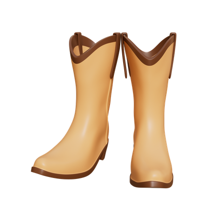 Cowboy shoes  3D Icon