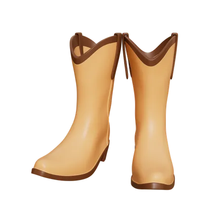 Cowboy shoes  3D Icon