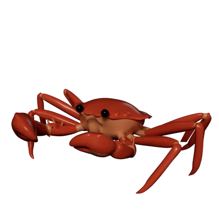 Crab  3D Icon