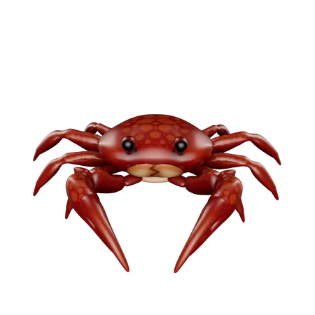 Crabes  3D Icon