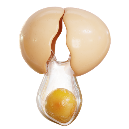 Cracked Egg  3D Icon