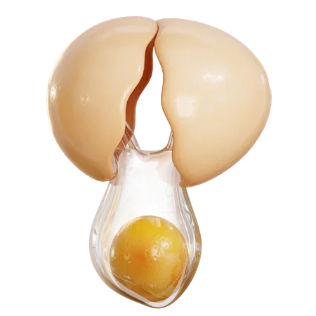 Cracked Egg  3D Icon