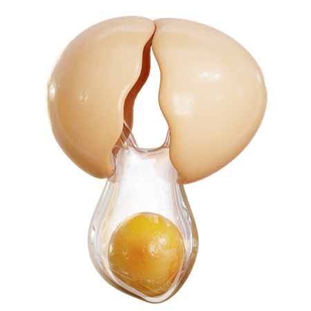 Cracked Egg  3D Icon