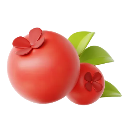 Cranberries  3D Icon