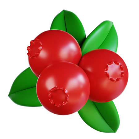 Cranberries  3D Icon