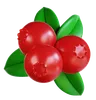 Cranberries