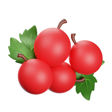 Cranberries  3D Icon