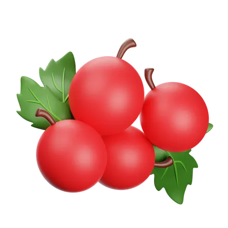 Cranberries  3D Icon