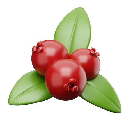 Cranberries  3D Icon