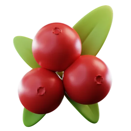 Cranberries  3D Icon