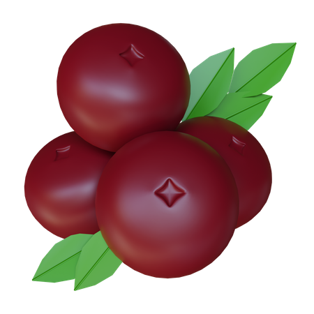 Cranberries  3D Illustration