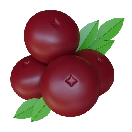 Cranberries  3D Illustration