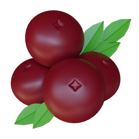 Cranberries 3D Illustration