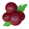 3d cranberries