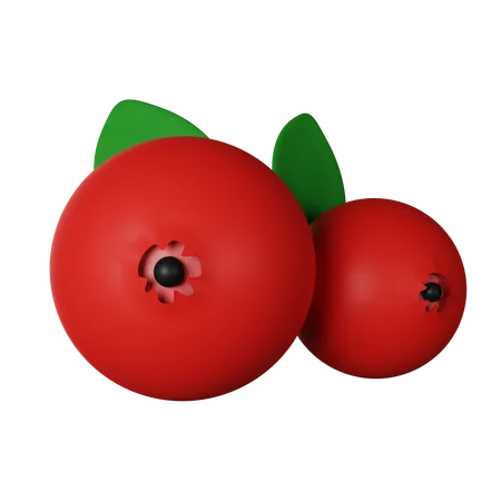 Cranberry  3D Icon