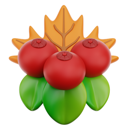Cranberry  3D Icon