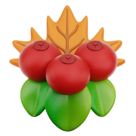 Cranberry  3D Icon