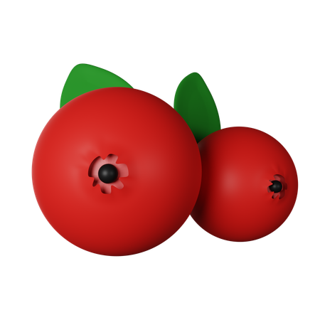 Cranberry  3D Icon