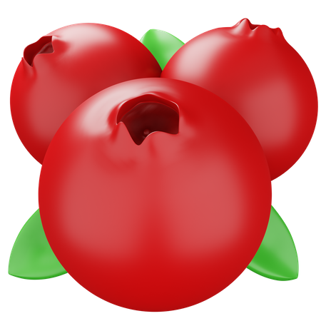 Cranberry  3D Icon