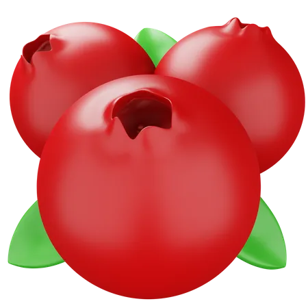 Cranberry  3D Icon