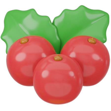 Cranberry  3D Icon