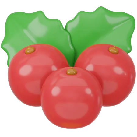 Cranberry  3D Icon