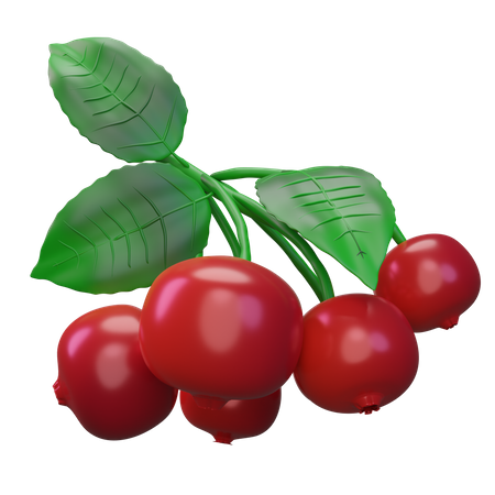 Cranberry  3D Icon