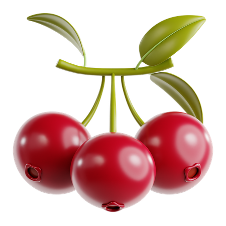 Cranberry  3D Icon