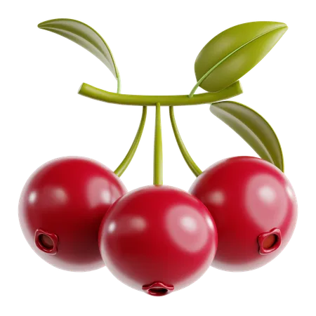 Cranberry  3D Icon