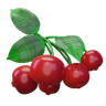 cranberry emoji