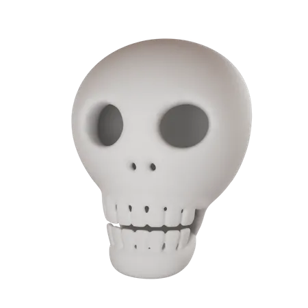 Crâne  3D Illustration