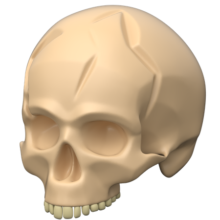 Crâne  3D Icon