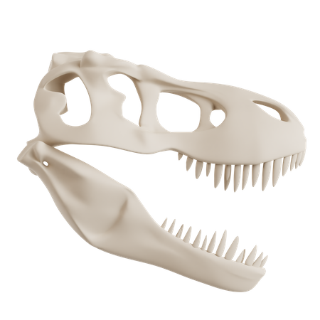 Crânio de dinossauro  3D Icon