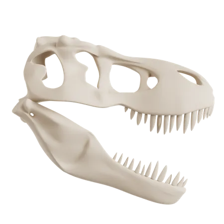 Crânio de dinossauro  3D Icon