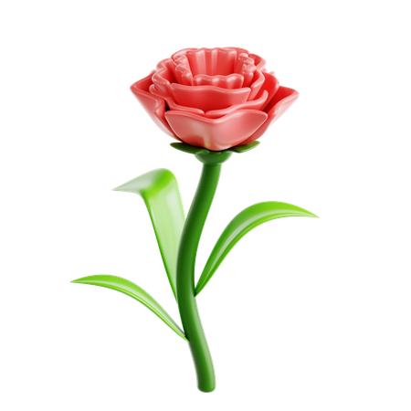 Cravo  3D Icon