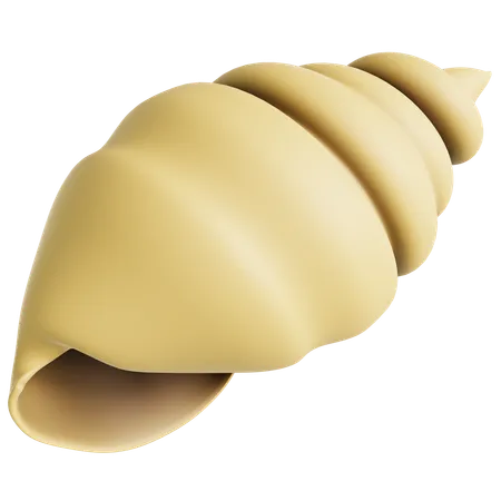 Cream Seashell  3D Icon