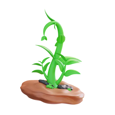 Crecimiento de la planta  3D Icon