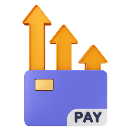 Credit Card Payment  3D Icon