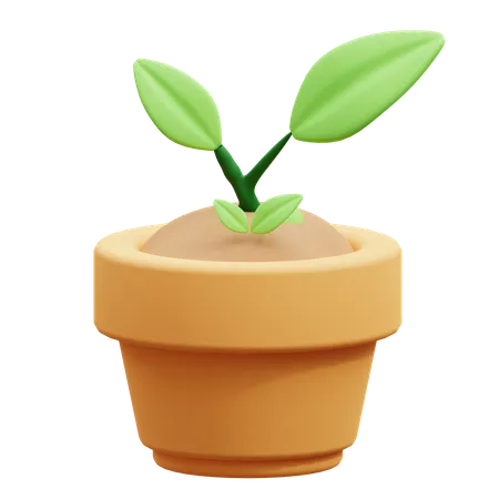 Crescimento da planta  3D Icon