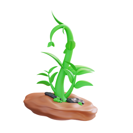 Crescimento da planta  3D Icon