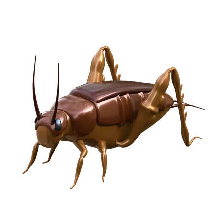 Cricket 3 D Insect Illustration 3D Icon