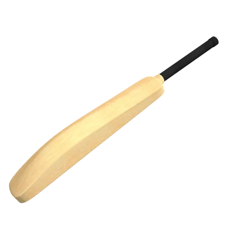 Cricket bat  3D Icon