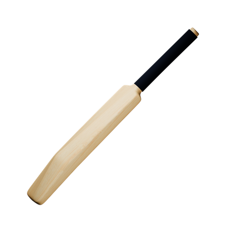 Cricket Bat  3D Icon